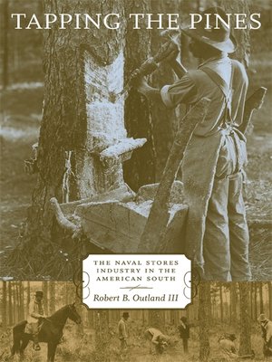 cover image of Tapping the Pines